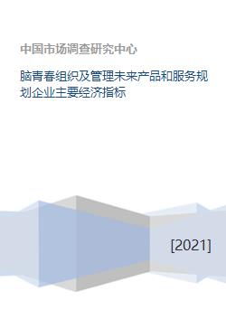 腦青春 企業管理服務與未來產品規劃的核心經濟指標解析